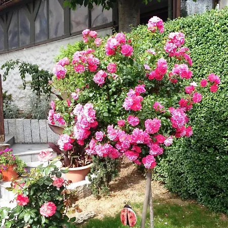 Cozy Apartment In Wichenstein With Large Garden Apartment