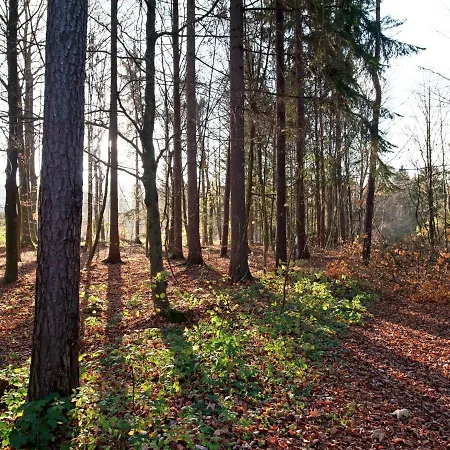 Cozy Apartment In Wichenstein With Large Garden *